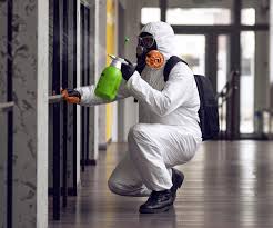 Best Mold Remediation for Healthcare Facilities  in Athens, GA