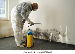  Athens, GA Mold Removal & Remediation Pros